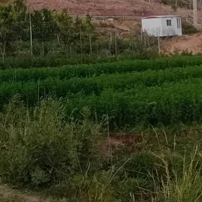 منزل مسکونی همکف چهار راه خواجو