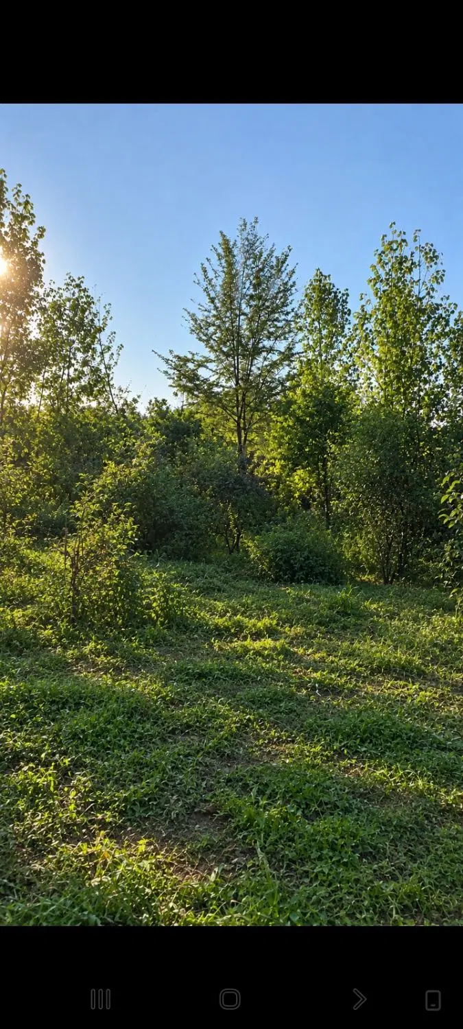 فروش زمین مسکونی
