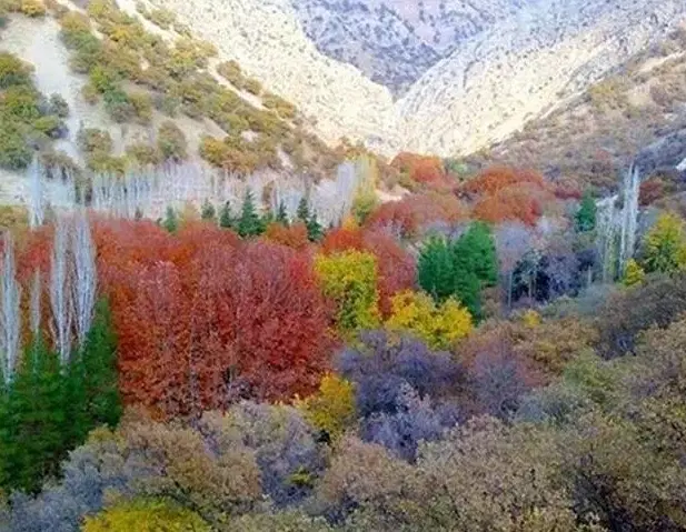 زمین مسکونی گنجه بزرگ درجه یک