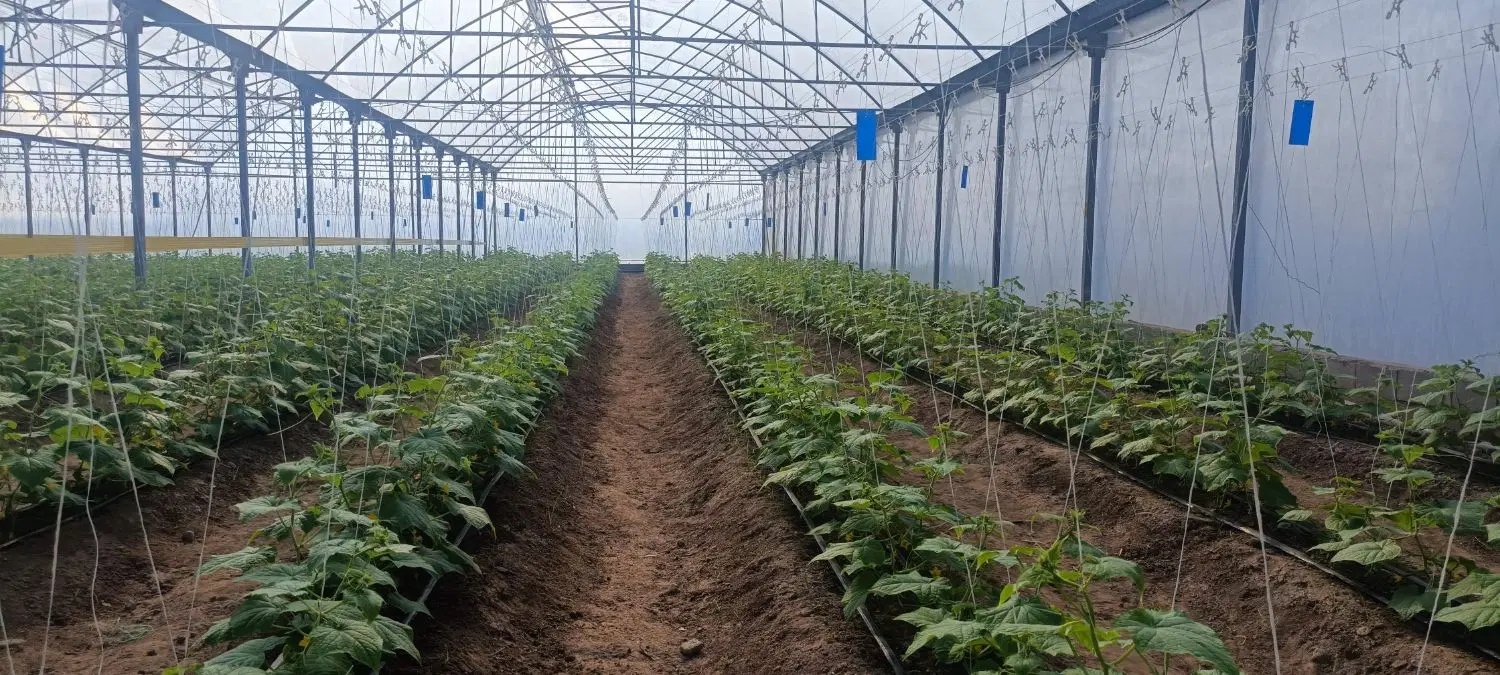 گلخانه باغ ویلا