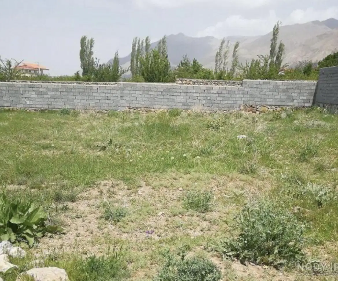 زمین سند تک برگ‌