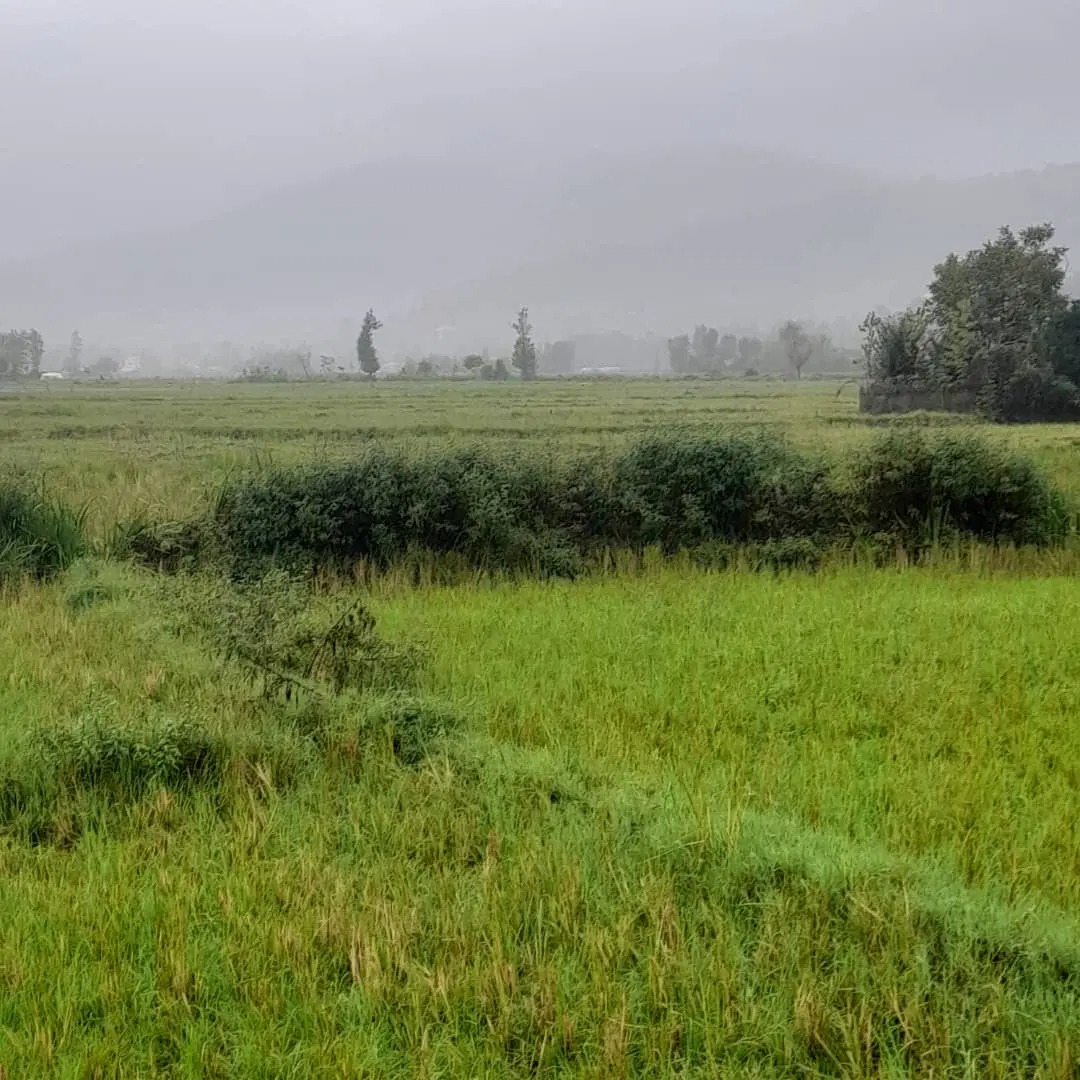 3500 متر  بجار سنتی  روستایی