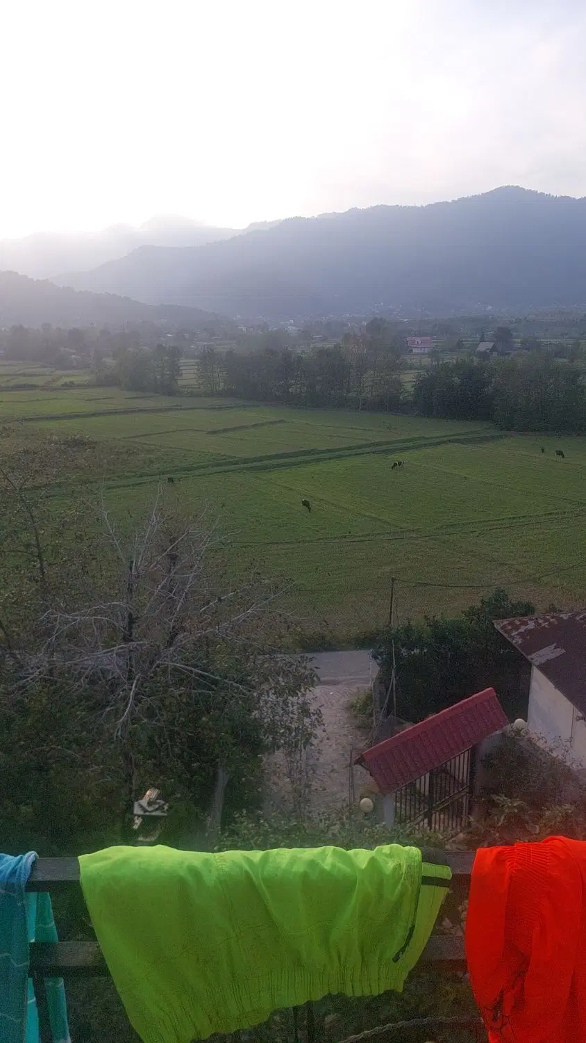 قشنگ و زیبا