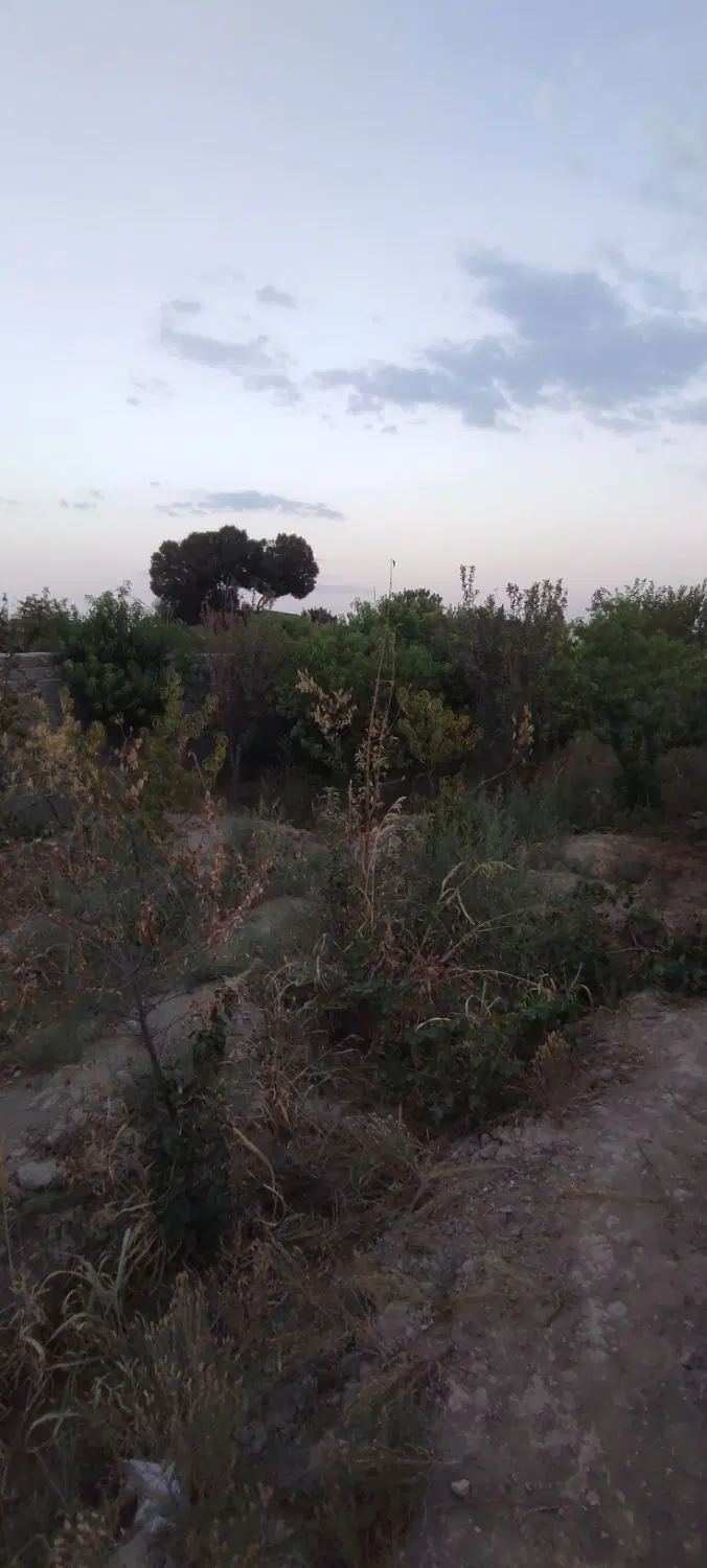 250متر_باغچه_شاهدشهر
