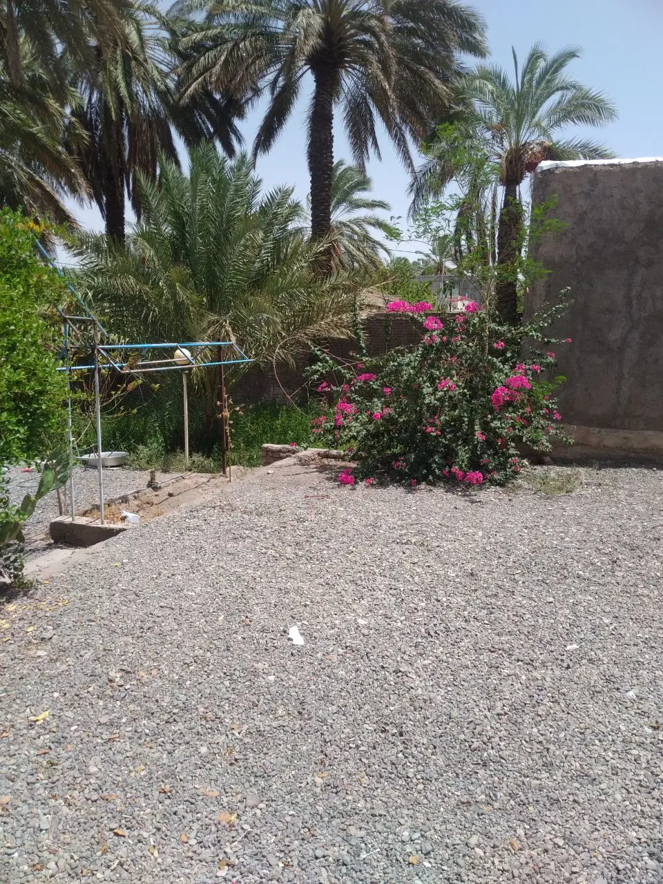 اجاره خونه