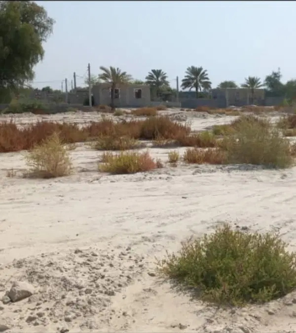 فروش زمین