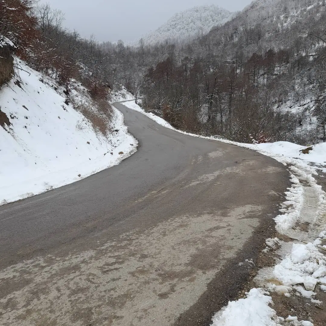 مشارکت