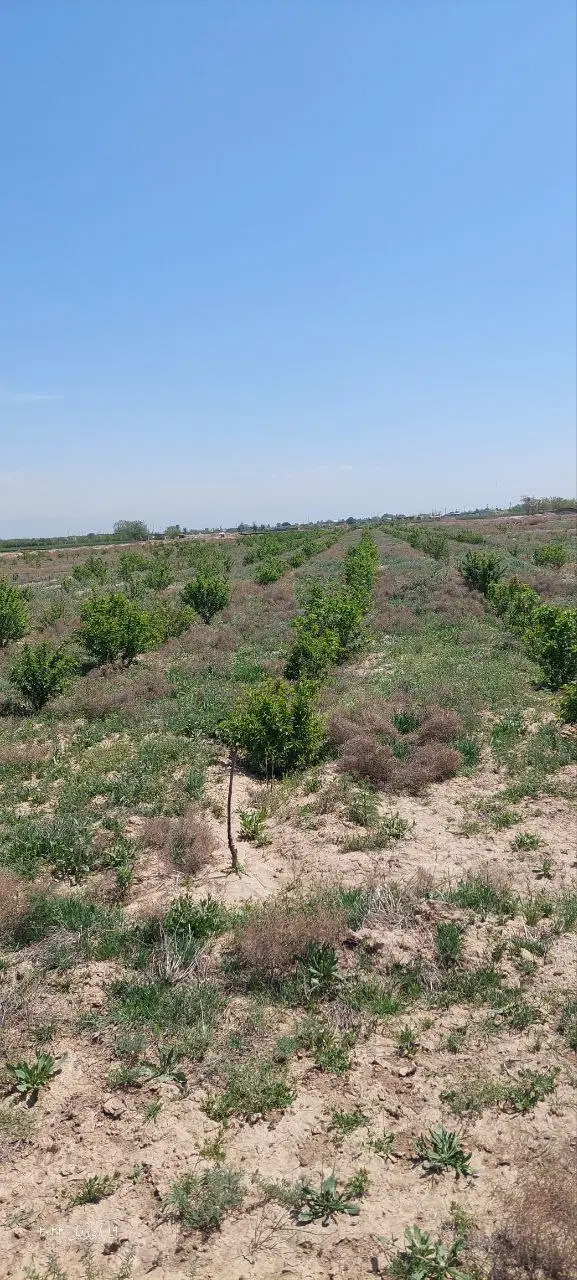 ۴۰۰متر زمین باغچه مهرشهر کردان سهیلیه دولت آباد