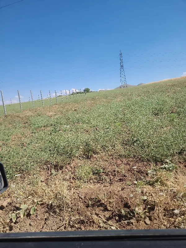 زمین خام برای خانه باغ سنددار