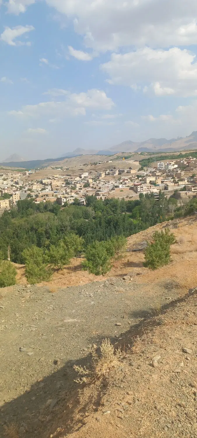 فروش یک قطعه زمین کشاورزی
