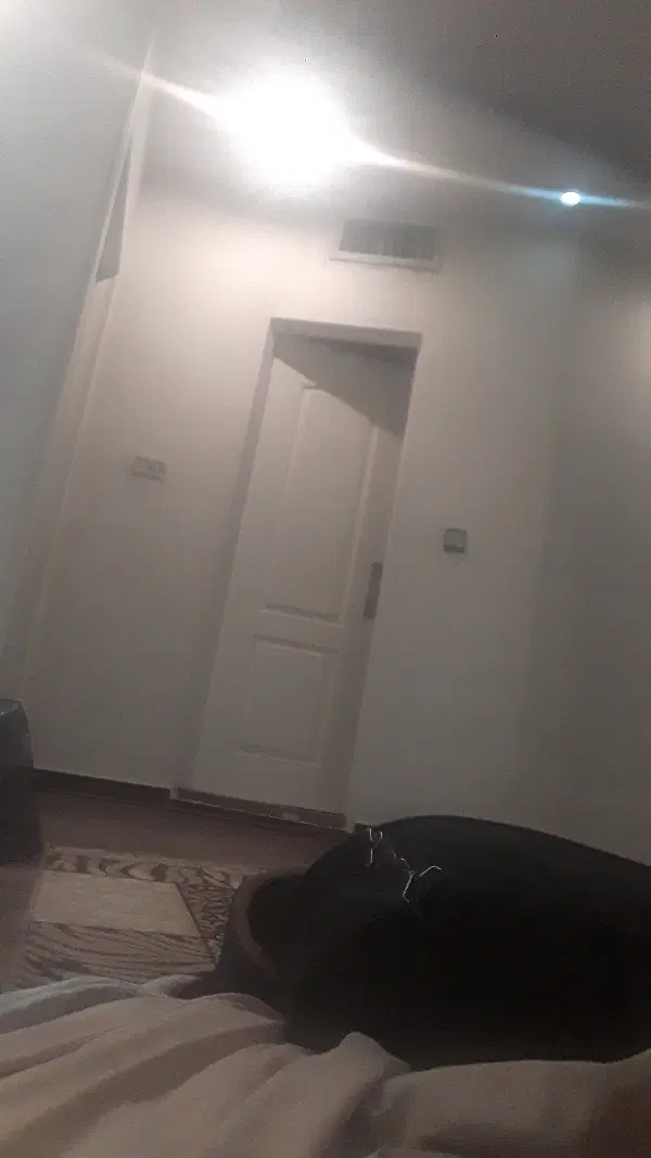 همخانه
