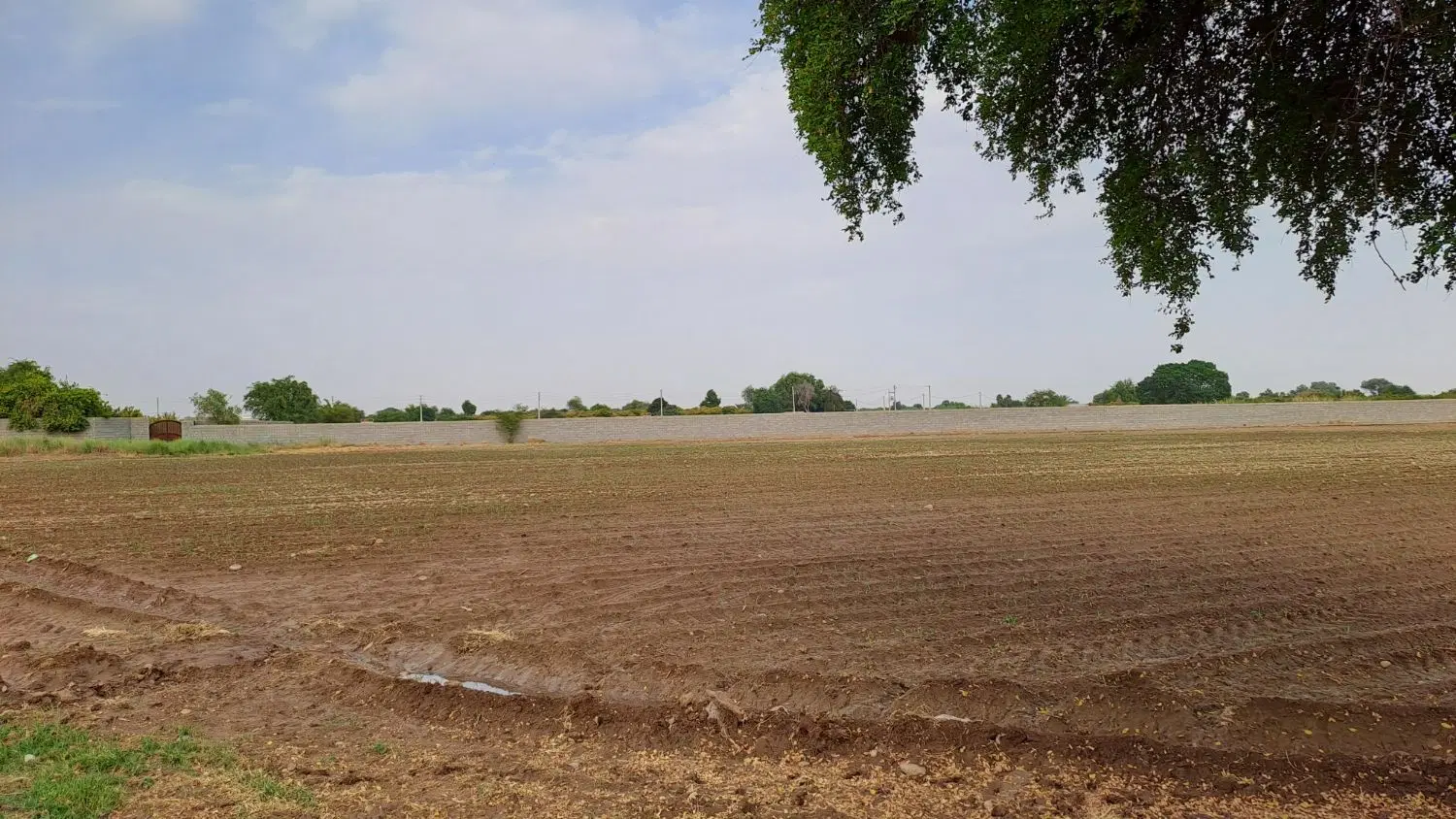 یک هکتار ربع زمین فروشی زاویه اولی