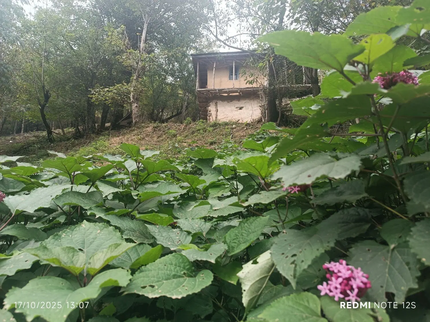فروش مسکونی70متری شهرک بهارستان