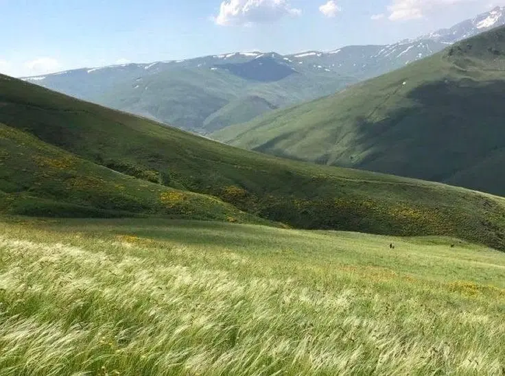 شاندیز امام رضا۲۳ زمین سند ۶دانگ شمالی ساز