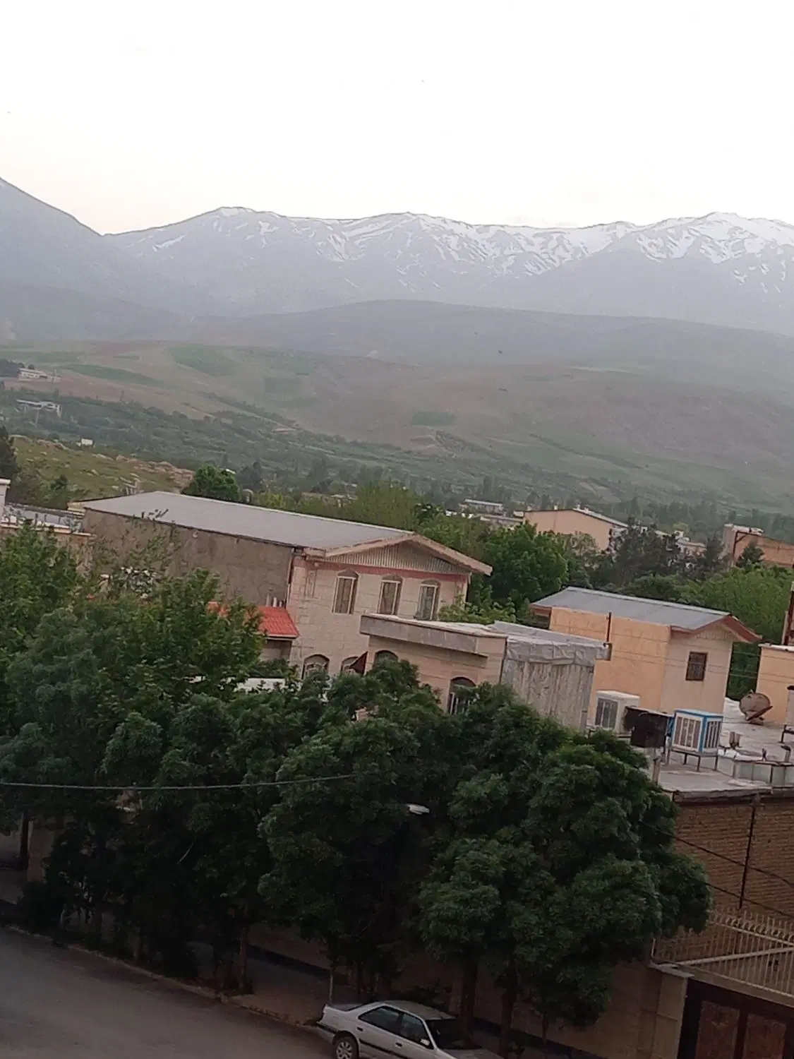 همخونه میخوام بدون حاشیه