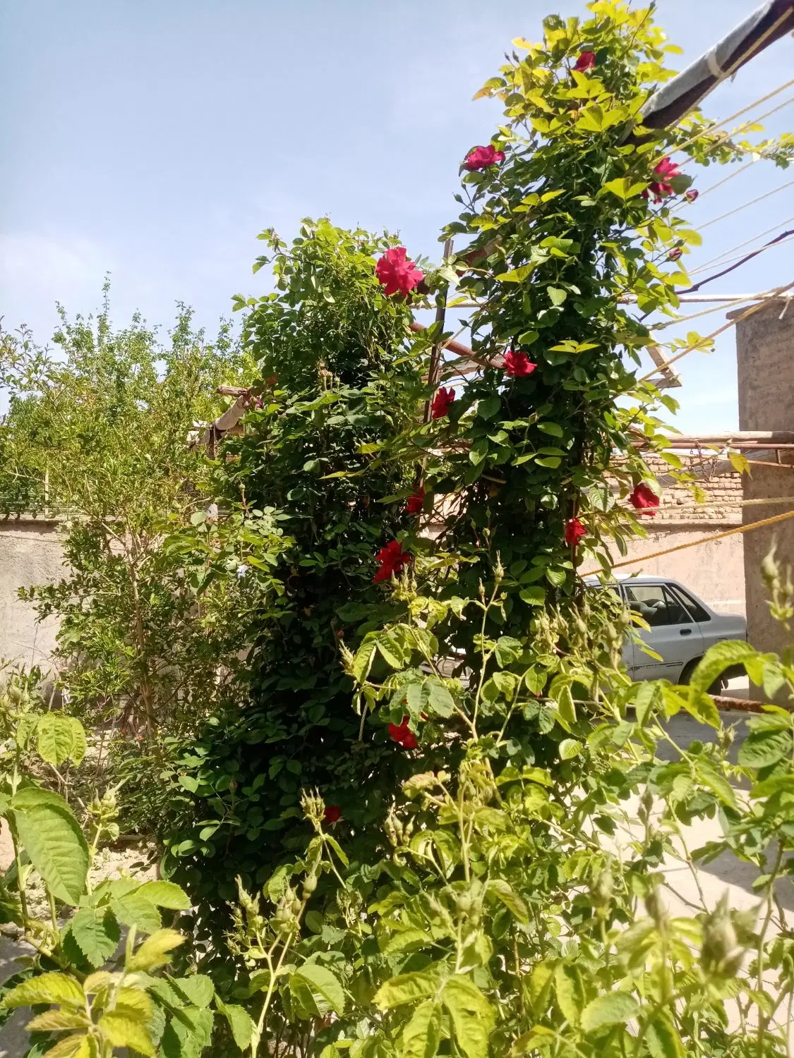 زمین فروشی