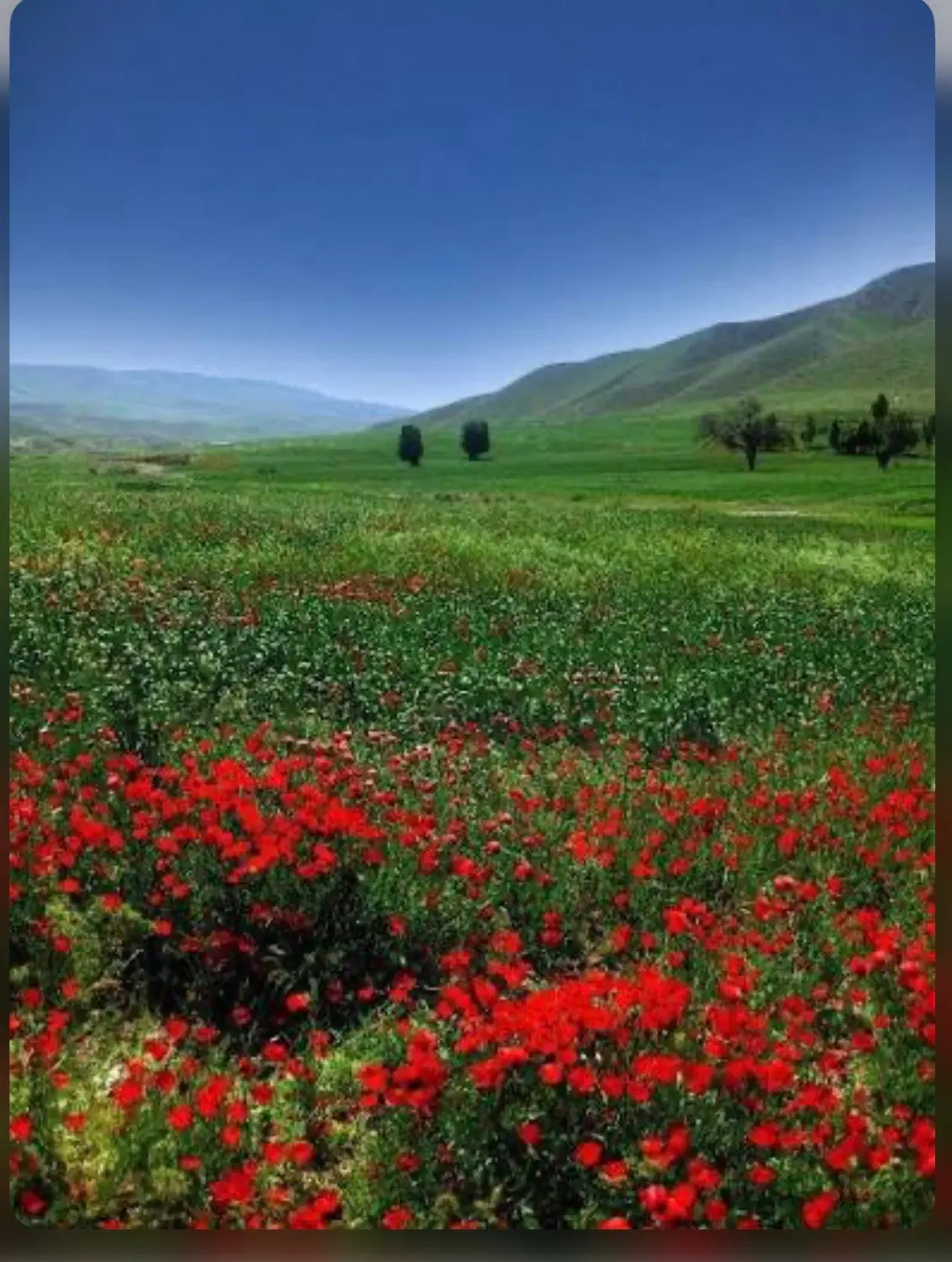 زمین روستایی باغ ویلا هلایجان(هلاگون)
