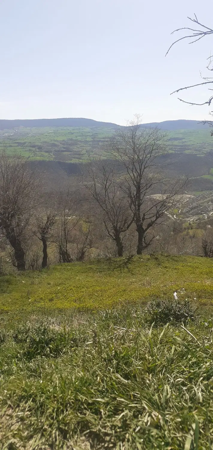 فروش زمین