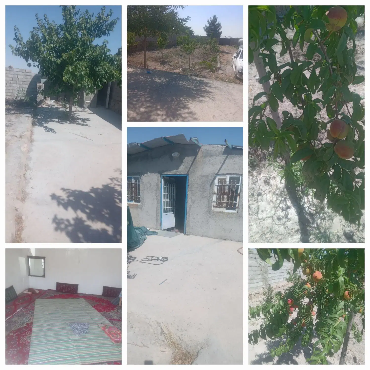 باغ ویلا