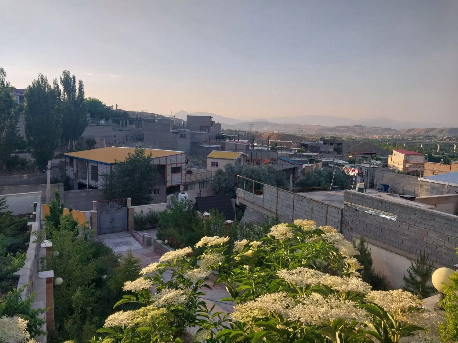 زمین ویلایی حاج عبدال (هروی)