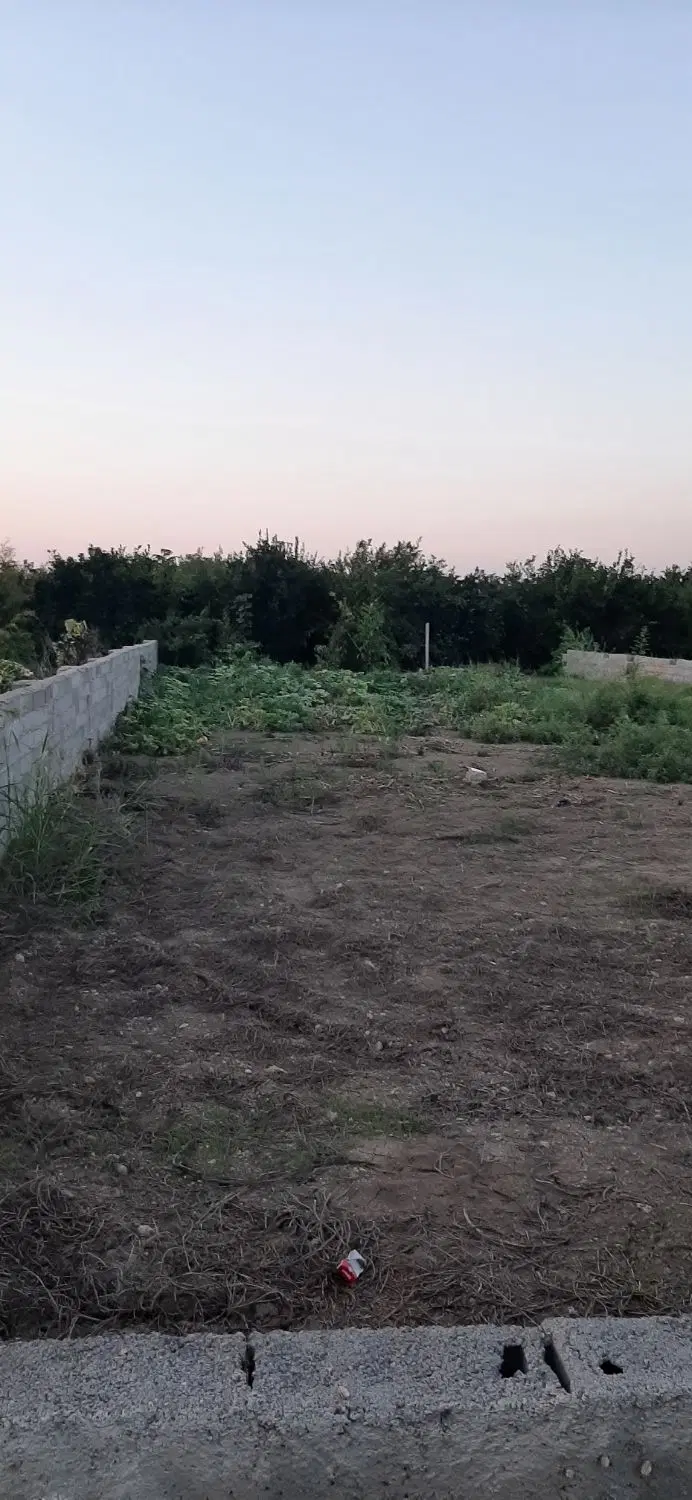 زمین باغی