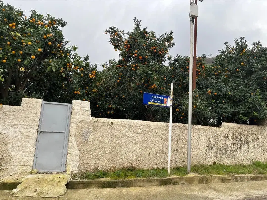 ۳۰۰ متر زمین در یالبندان سرا مازندران