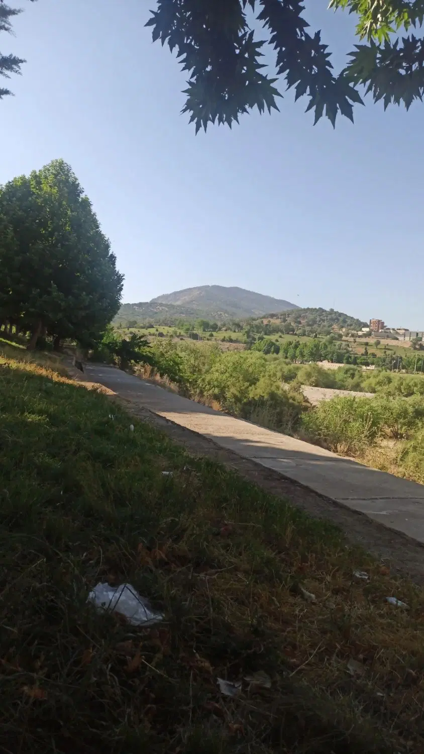 سوییت اجاره ای اقتصادی