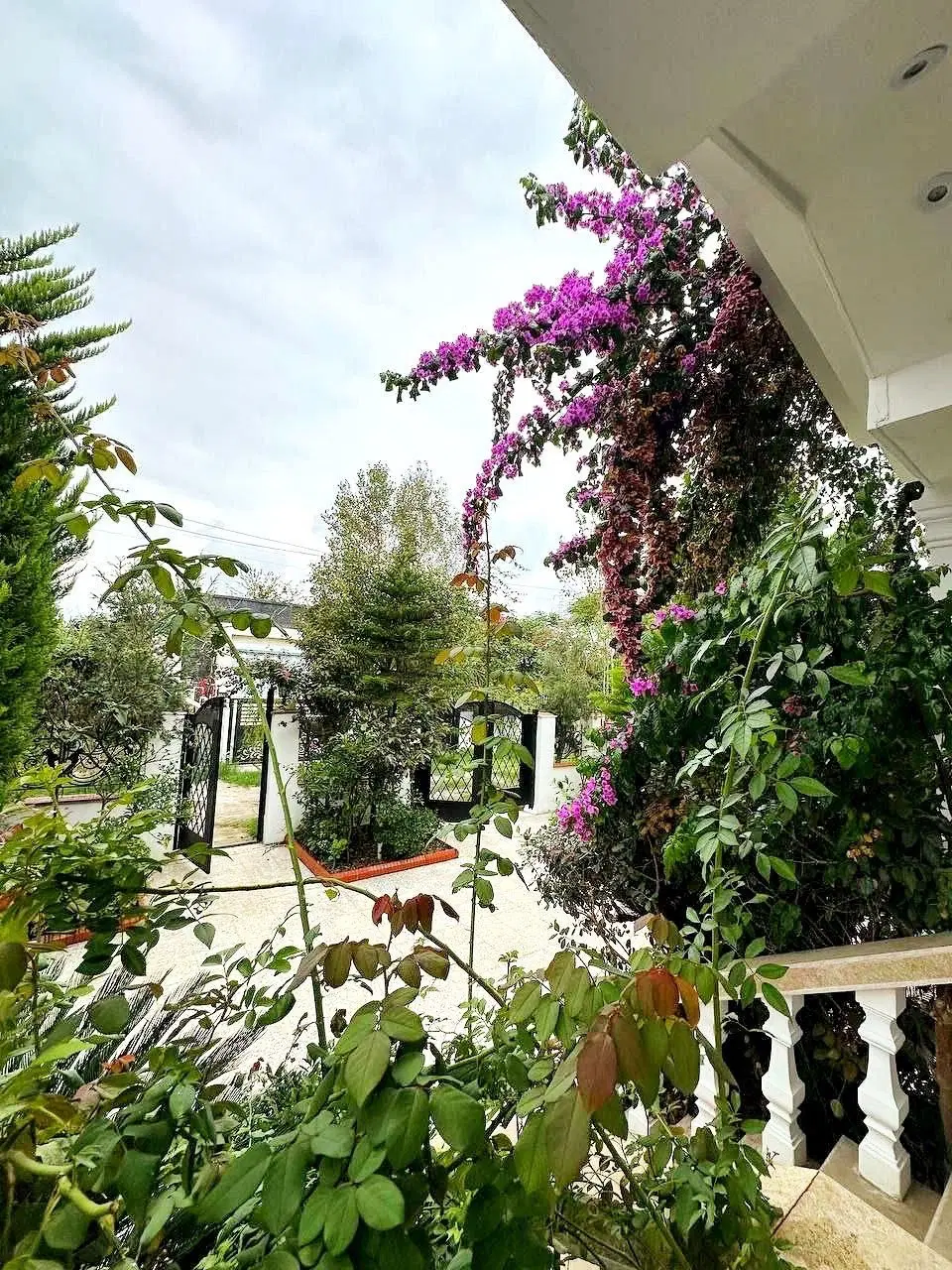 نیمپیلوت شیک و آماده سکونت