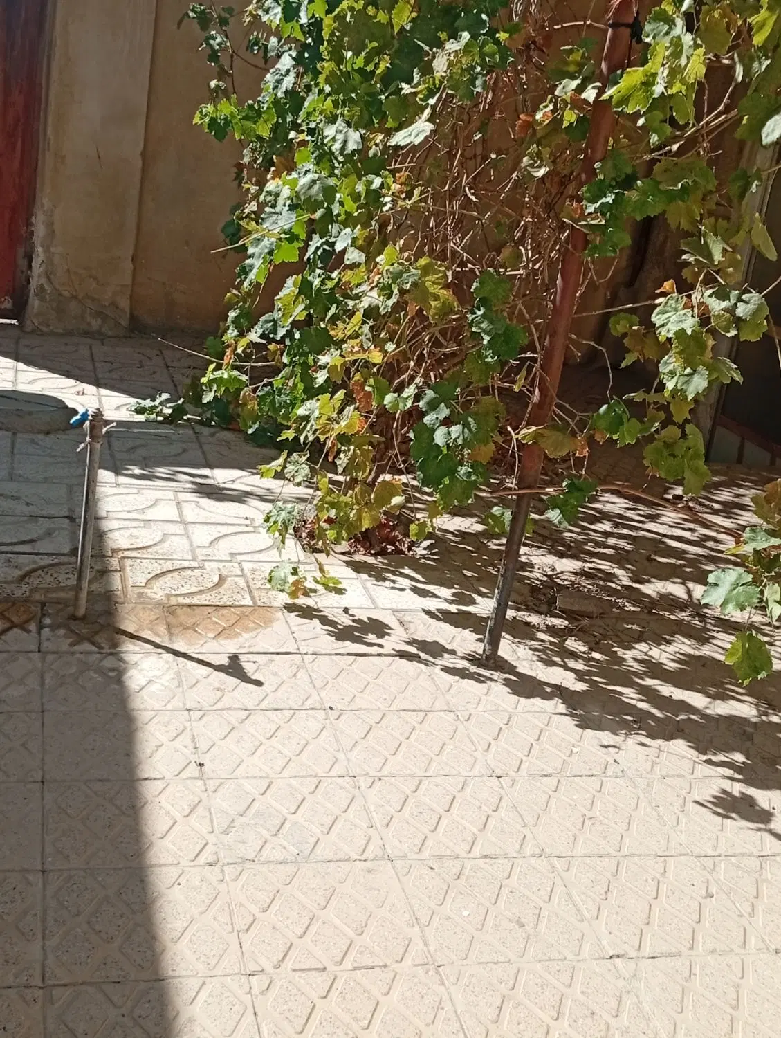 منزل