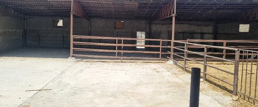اجاره
