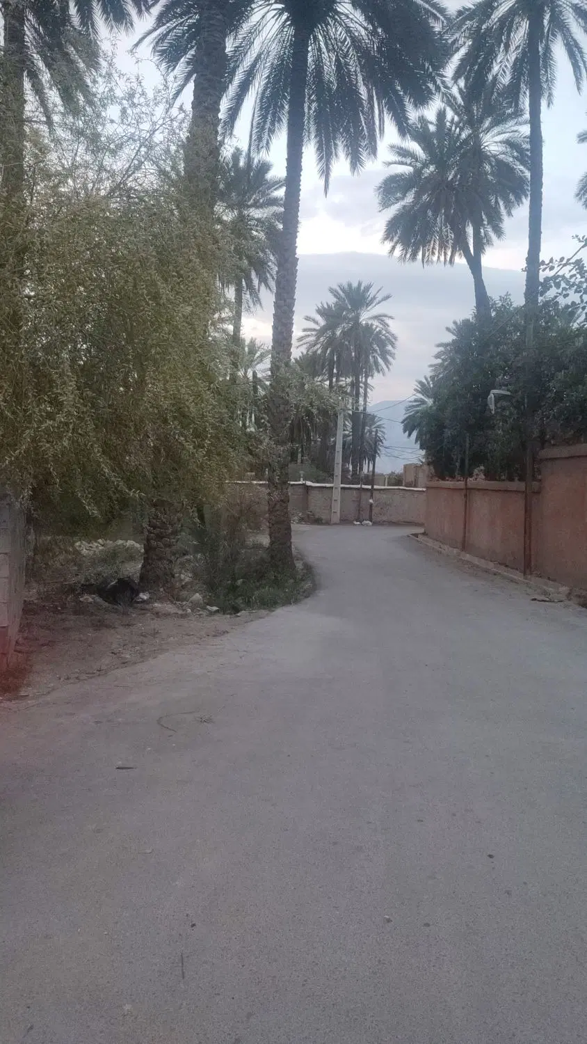 زمین باغی ، باب انار بافت قدیم بر اصلی