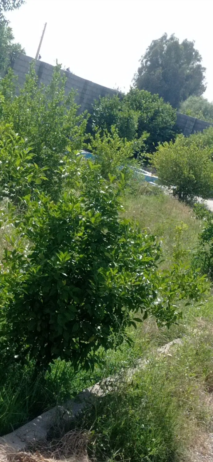 اجاره روزانه خونه مبله و مجهز
