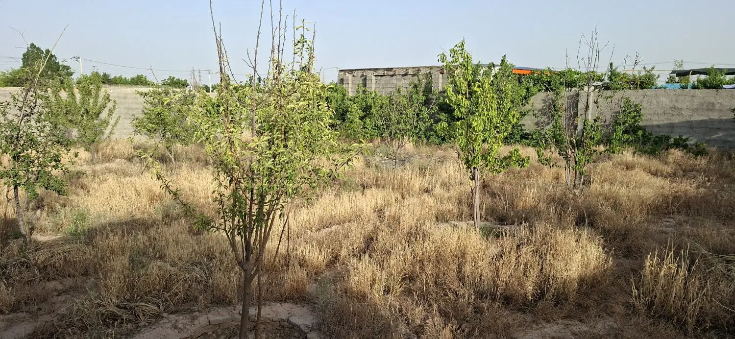 زمین دور دیوار شاهنامه ۶۷ .