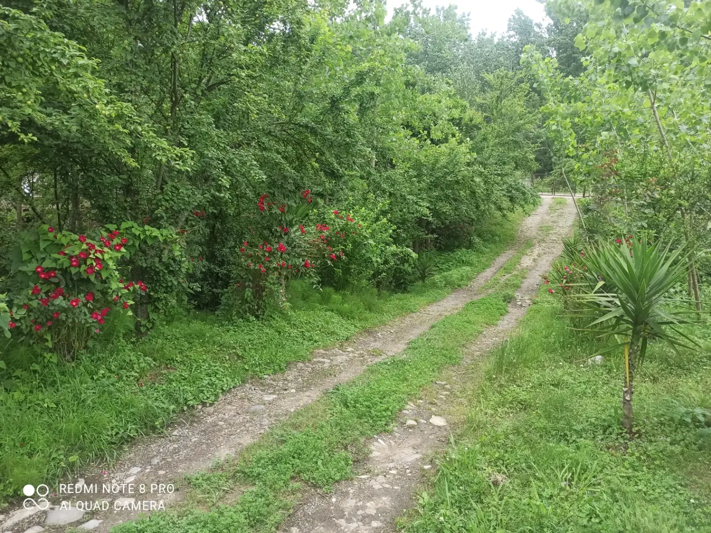 زمین وویلا