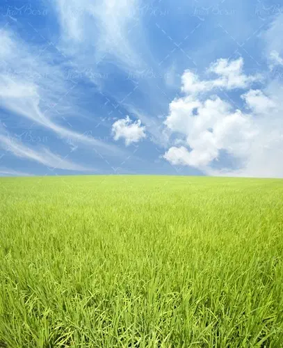 فروش زمین زراعی(کشاورزی)