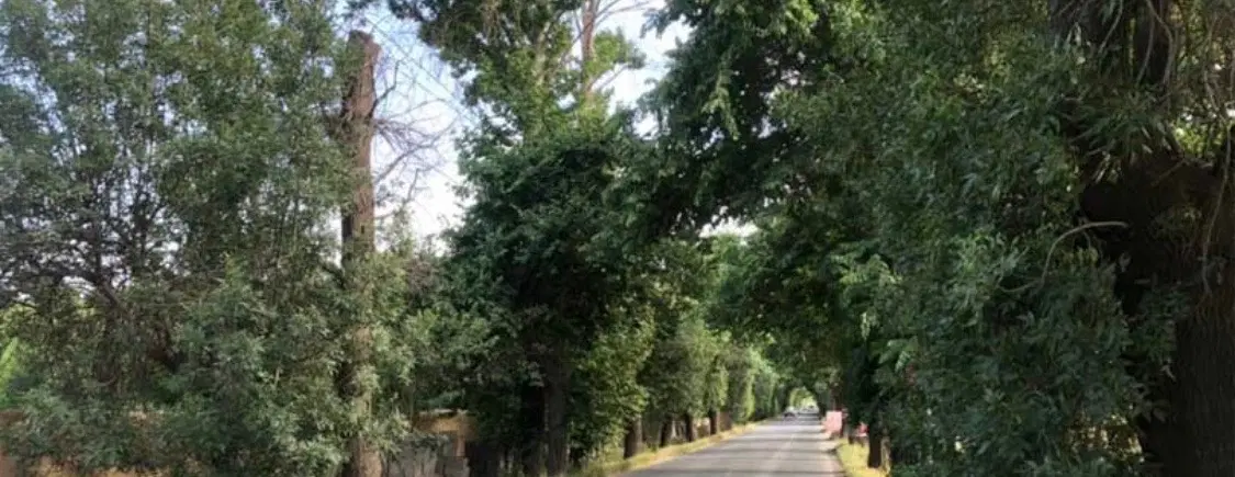 زمین