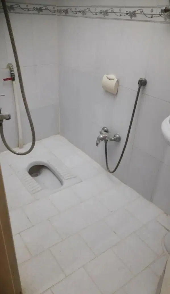 همخونه خانم
