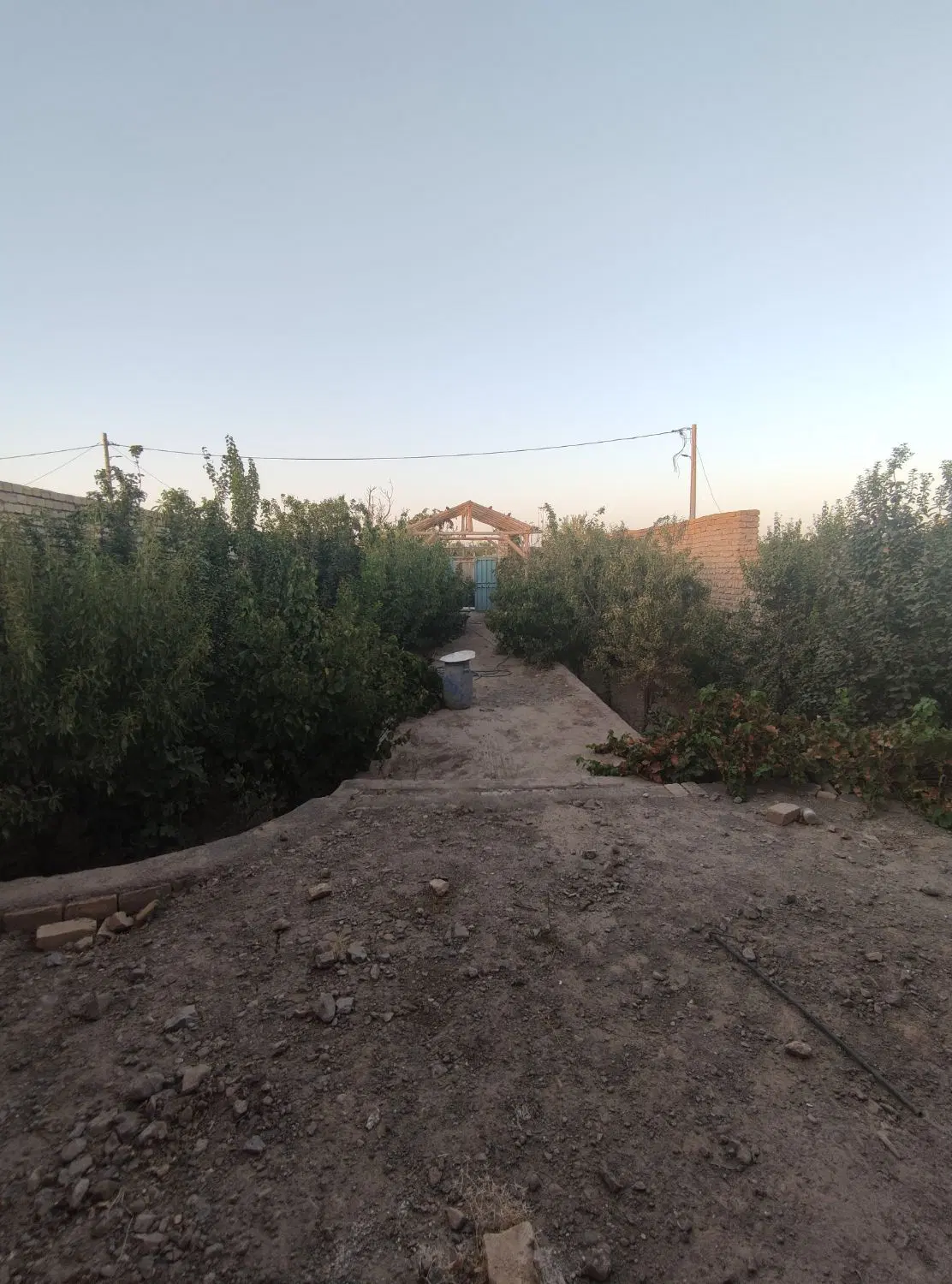 زمین فین بزرگ قیطرانیه