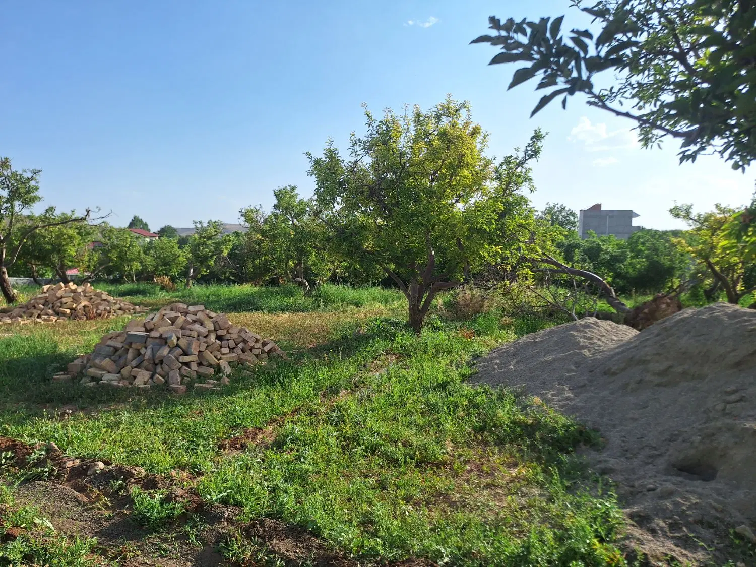 زمین ۳۳۶ متر جابان