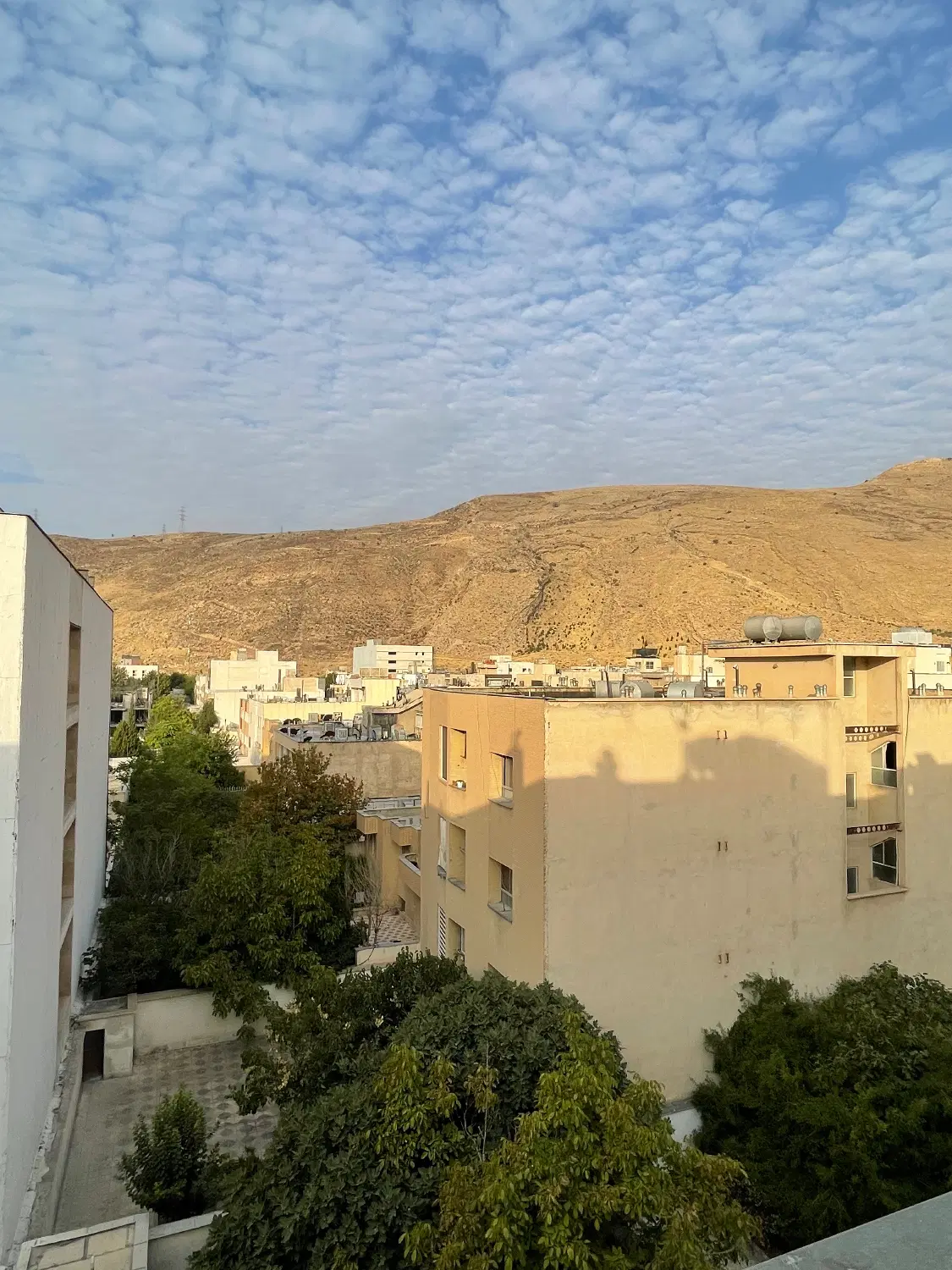 یکخوابه یک خوابه