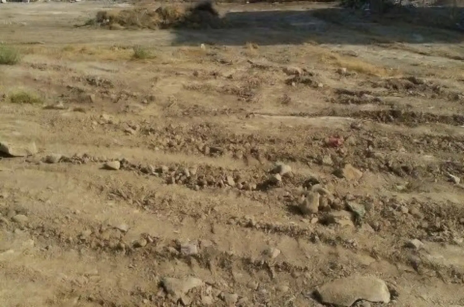 زمین محرزی بین نهر ۲و۱