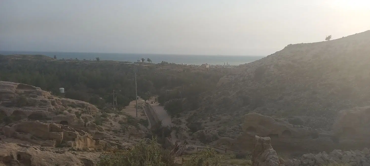 زمین تجاری کشاورزی