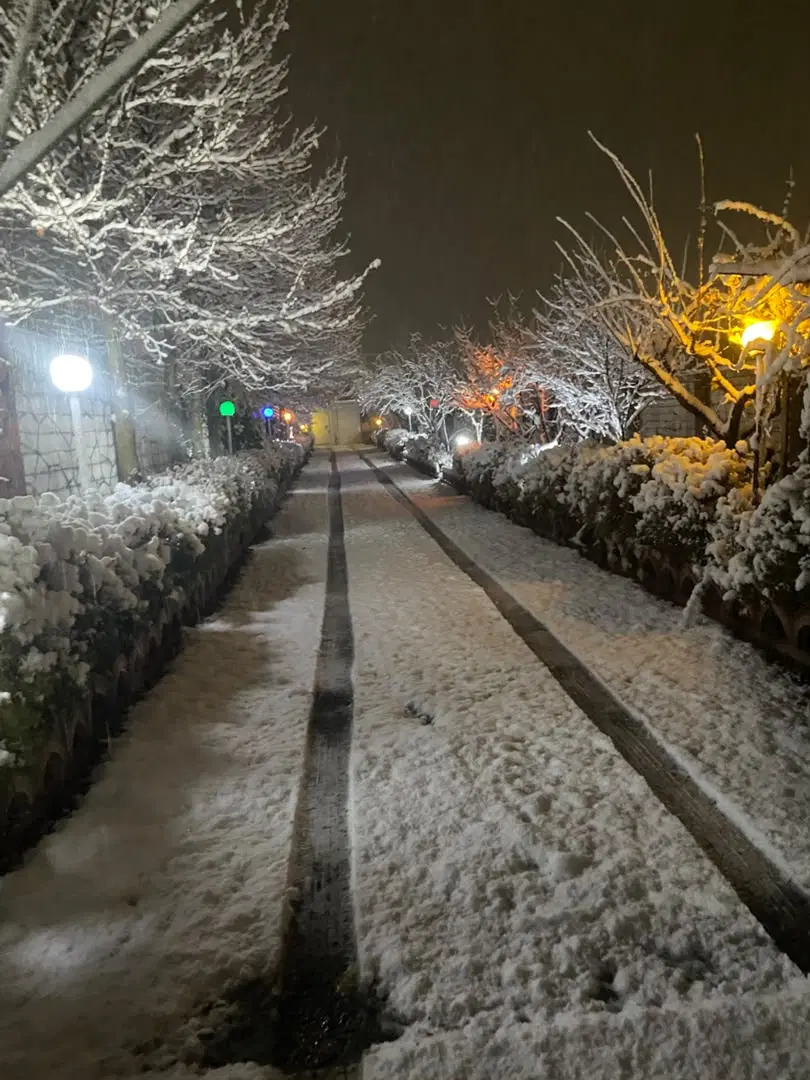 باغ واقع درشاهنامه۱۴