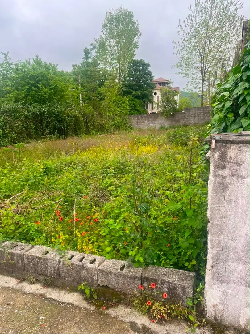 فروش زمین سی سرا