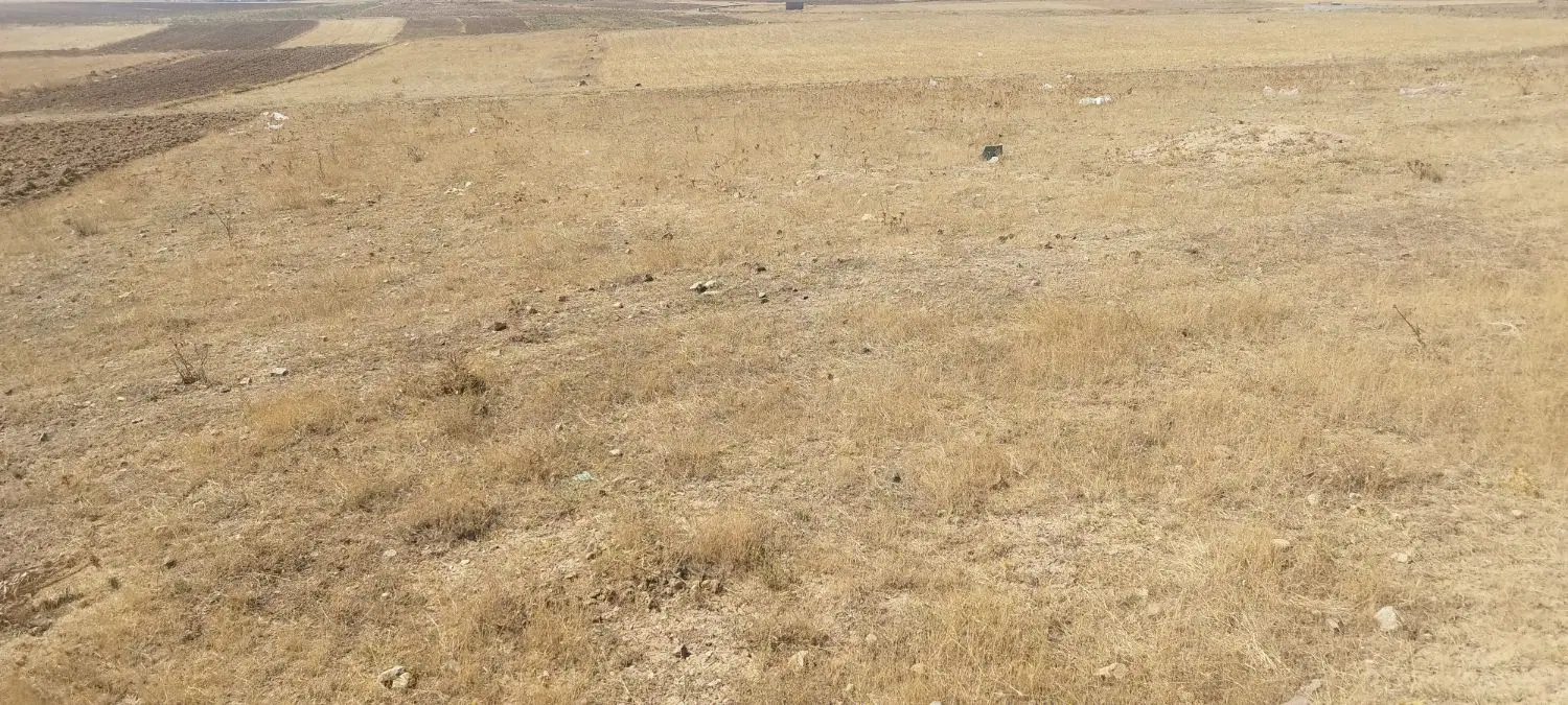قطعه زمین