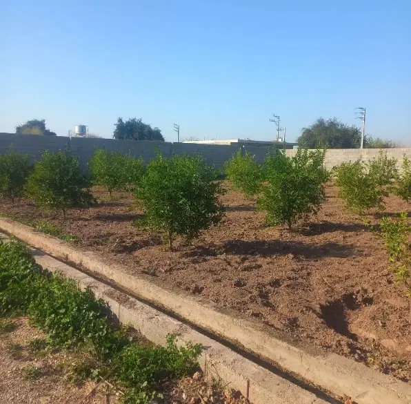 معاوضه زمین با ماشین
