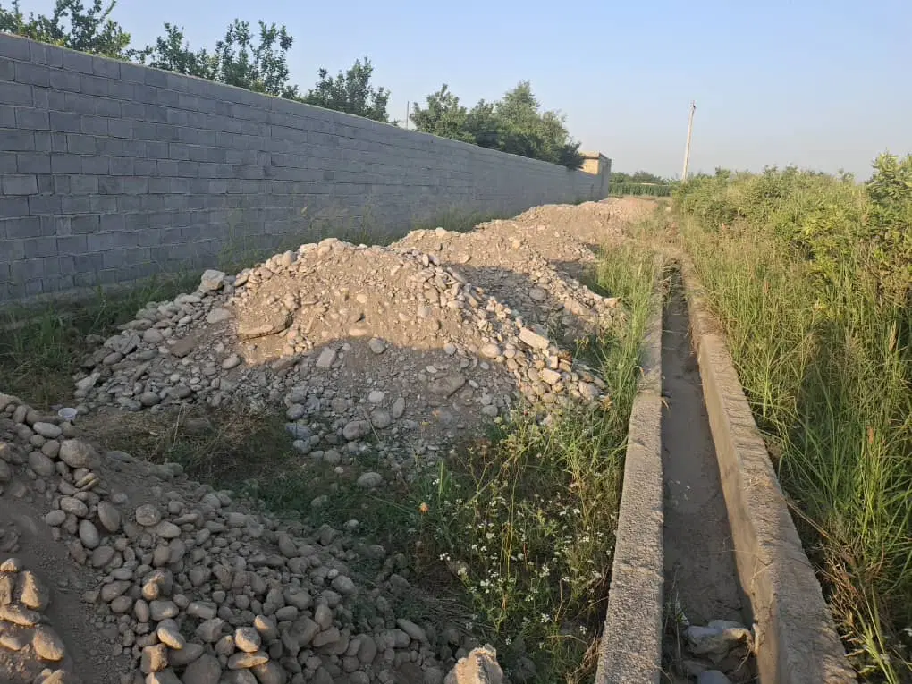 باغ درخت