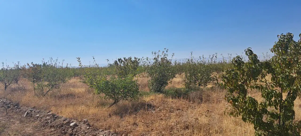 باغ شهر سهرین