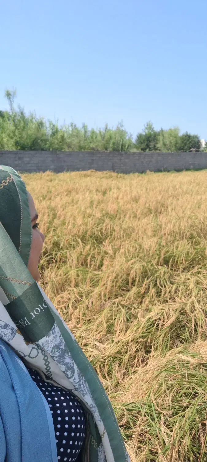 زمین کشاورزی ۳۰۰۰ هزار متر . در روستای فشتکه
