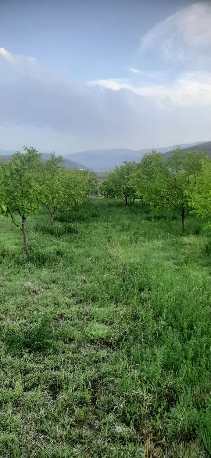 فروش باغ 2000 متری در روستای گردشگری رند